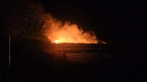 Incendio lungo il fiume Tanagro ad Atena Lucana: forse è doloso