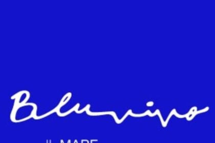 bluaria-storia