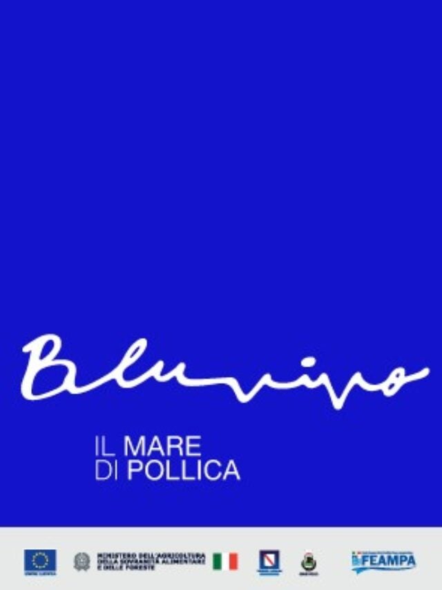 Bluaria