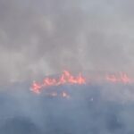 cropped-incendio-lentiscosa.jpg
