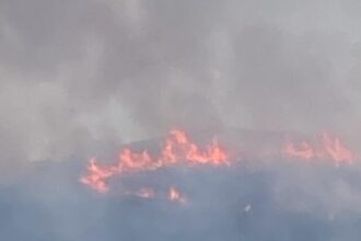 cropped-incendio-lentiscosa.jpg