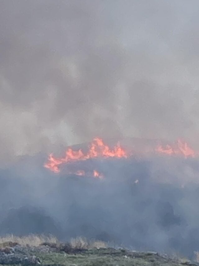 Vasto incendio a Lentiscosa
