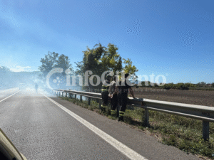 Incendio sulla SS18 tra Agropoli e Capaccio: traffico e disagi