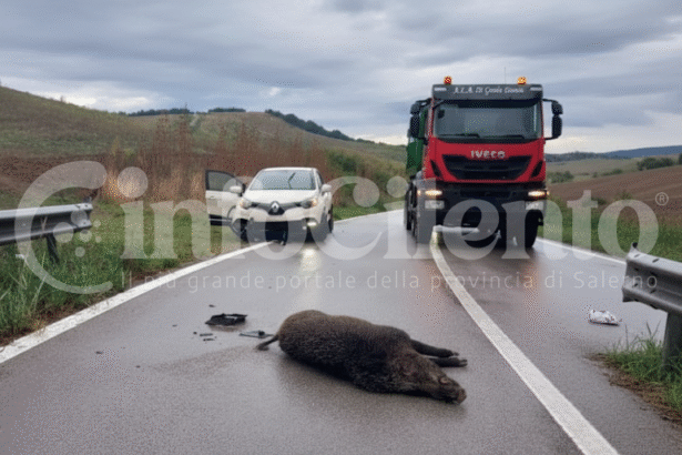 Incidente Salicuneta