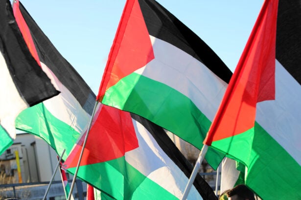 Bandiere Palestina