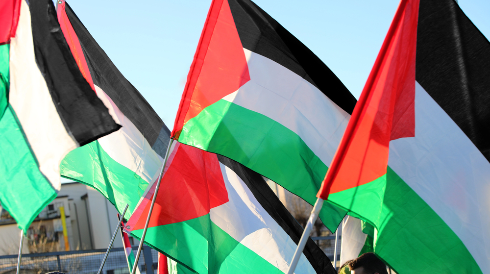 Bandiere Palestina