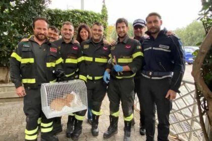 Casal Velino gattino intrappolato
