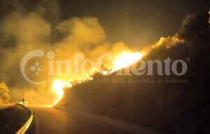 Vasto incendio a Castelnuovo Cilento: in fiamme uliveti e macchia mediterranea