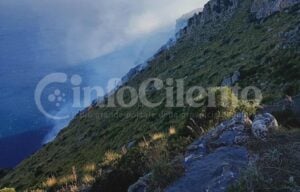 Incendio Masseta