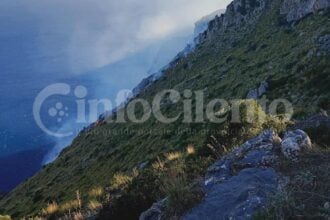 Incendio Masseta