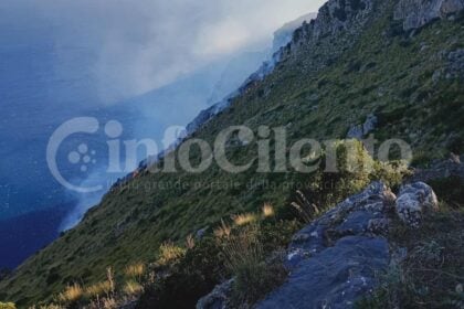 Incendio Masseta