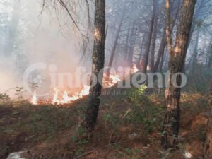 Incendio Tortorella