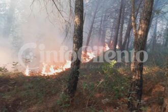Incendio Tortorella