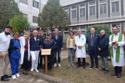 Alberi Polla