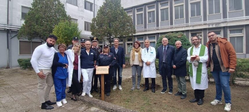 Alberi Polla