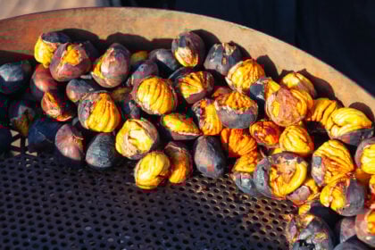Castagne