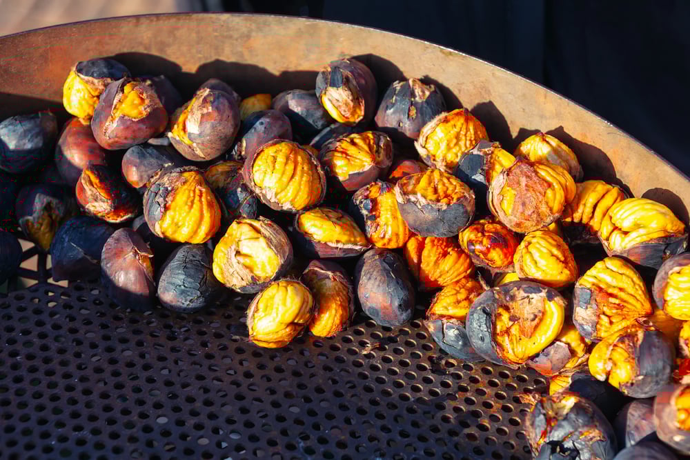 Castagne