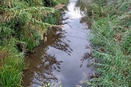 Fiume Solofrone