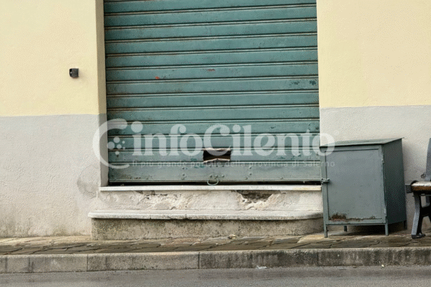 Furti Stella Cilento