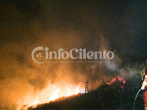 Laureana Cilento, incendio senza tregua continua a creare apprensione: fiamme si avvicinano a Castellabate