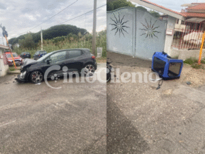 Capaccio Paestum, incidente tra due auto in località Laura. Ferito il cagnolino a bordo di una delle vetture