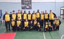 Wushu Kung Fu