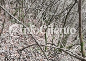 Angellara, anziano cade in un dirupo mentre cerca funghi: salvato dai Vigili