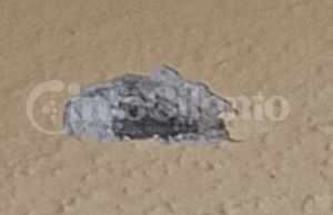 Ogliastro Cilento, spari contro un’abitazione: paura per il proprietario