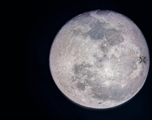 Spettacolo nei cieli del Cilento: la Superluna del Castoro immortalata da Vallo della Lucania