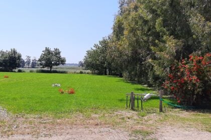 Polo Universitario Eboli