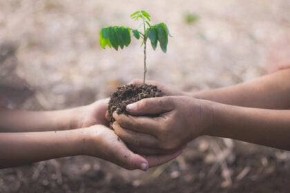 Giornata degli alberi