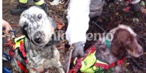 Roscigno, cani intrappolati nel fiume: salvati dai Vigili del Fuoco. L’emozionante addio del Capo Reparto Altamura