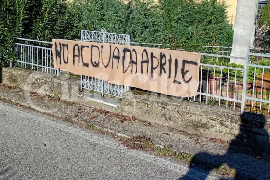 Mercato Cilento manifesti