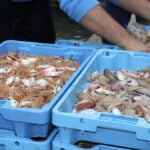 Pescatori