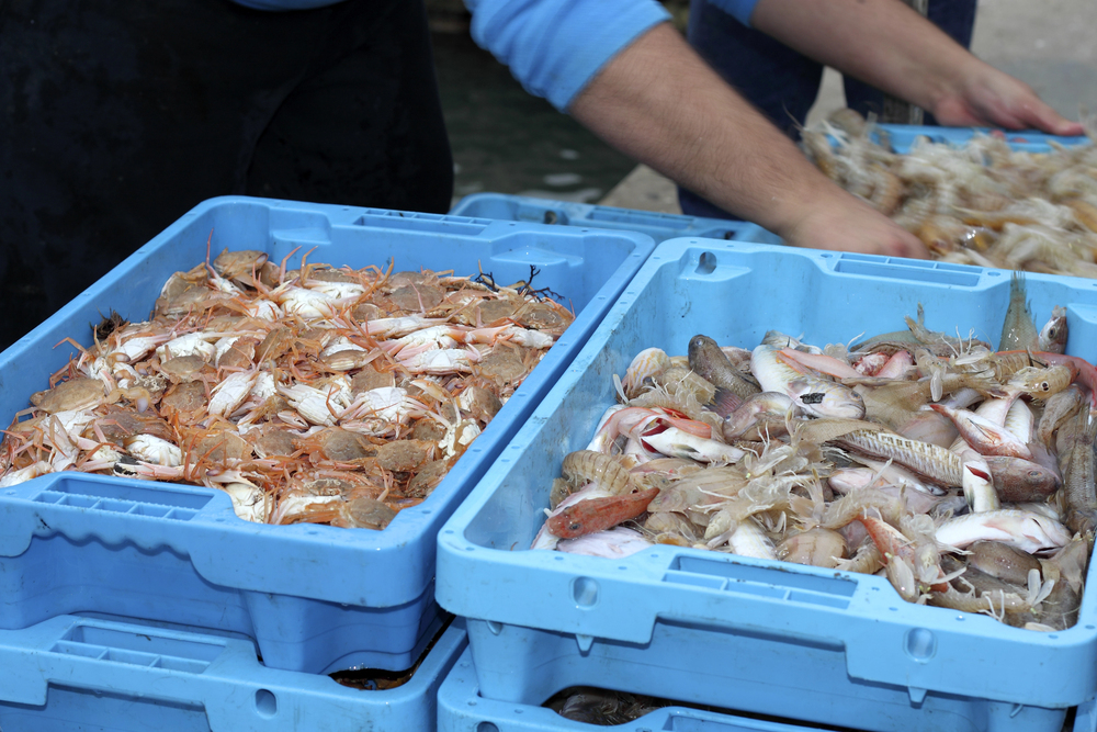 Pescatori