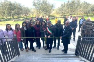 Albanella asilo nido