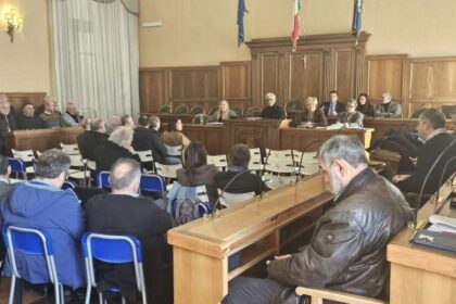 Assemblea sindaci