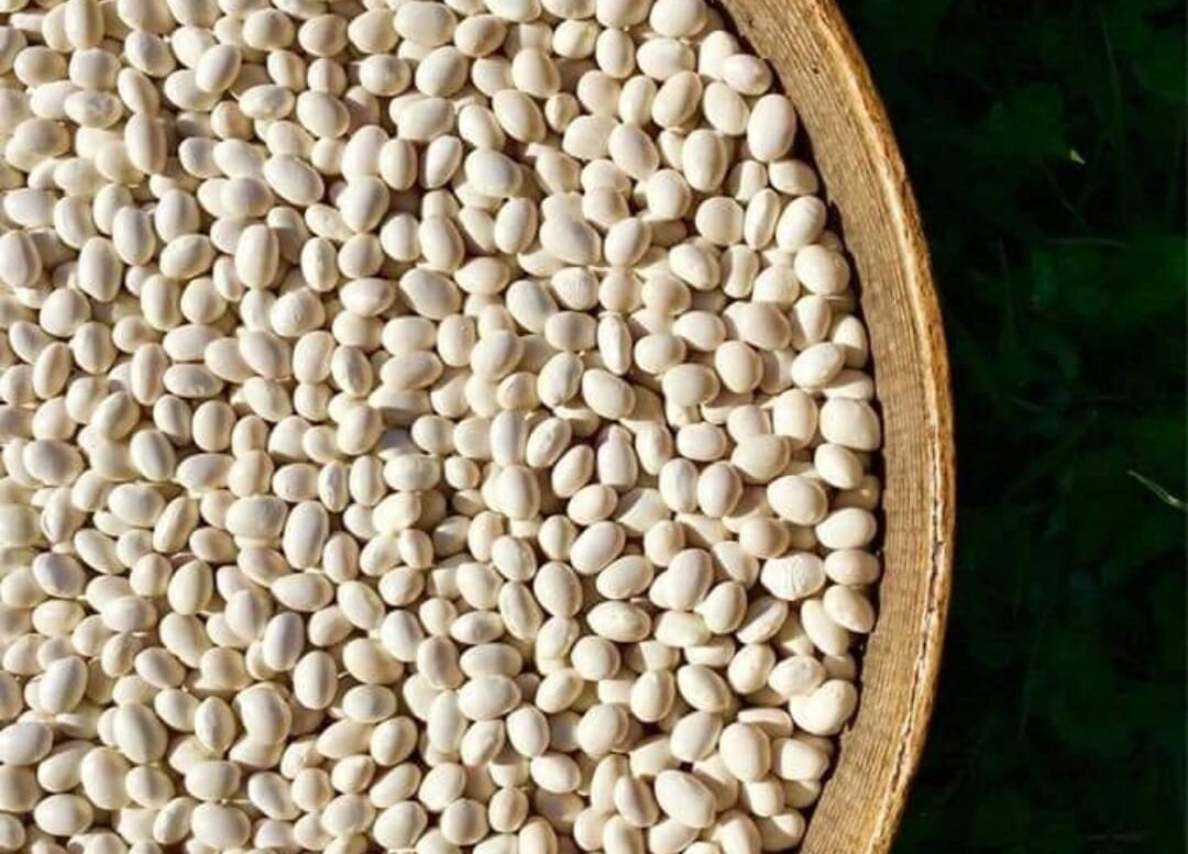 Fagioli, Gorga