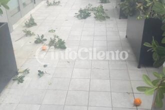 Danni sede Inps Agropoli