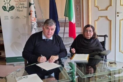 Parco Accessibilità