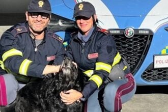 Cane autostrada Eboli
