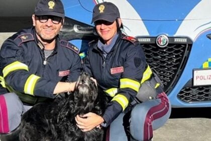 Cane autostrada Eboli