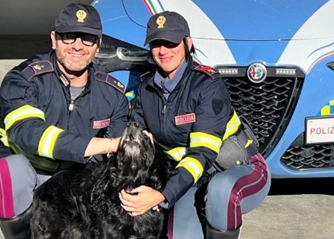 Cane autostrada Eboli