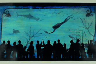 Il Tuffatore Davide Bonazzi