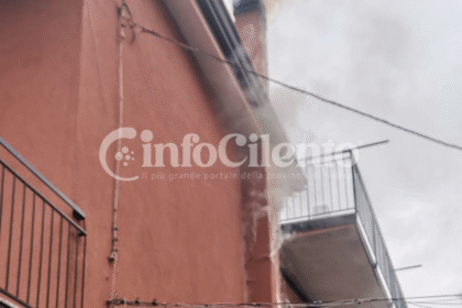 Agropoli, canna fumaria