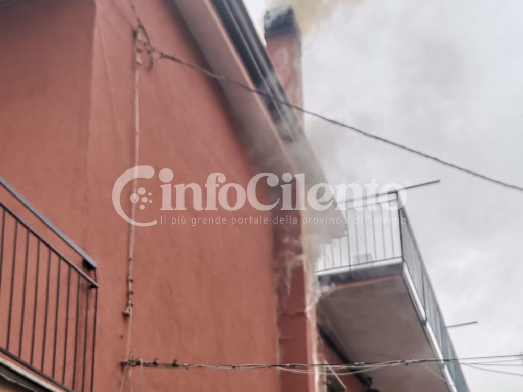 Agropoli, canna fumaria
