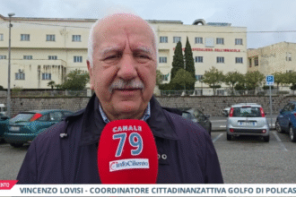 Vincenzo Lovisi, Cittadinanzattiva