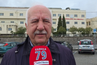 Vincenzo Lovisi, Cittadinanzattiva