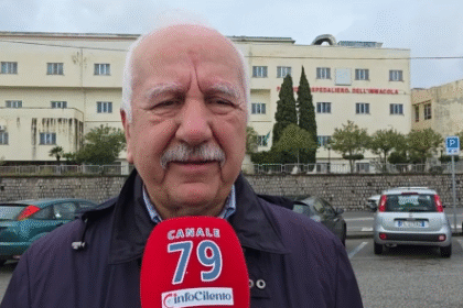 Vincenzo Lovisi, Cittadinanzattiva