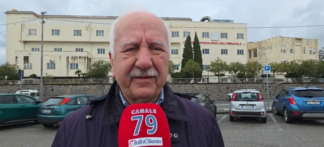 Vincenzo Lovisi, Cittadinanzattiva